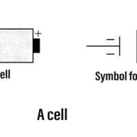 Function Of A Cell Circuit